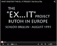 eX95-videodoku
