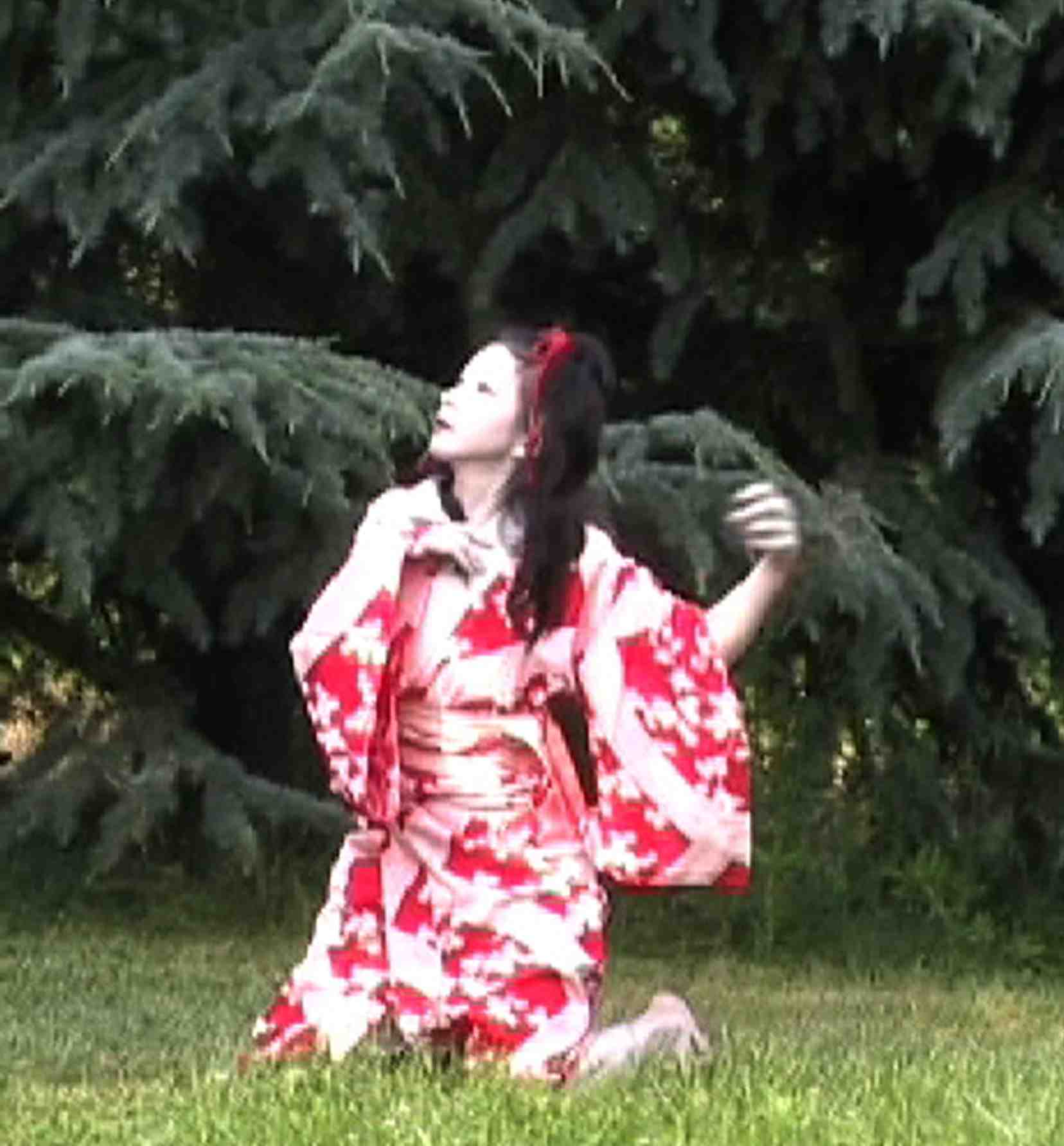Sachiko-trees