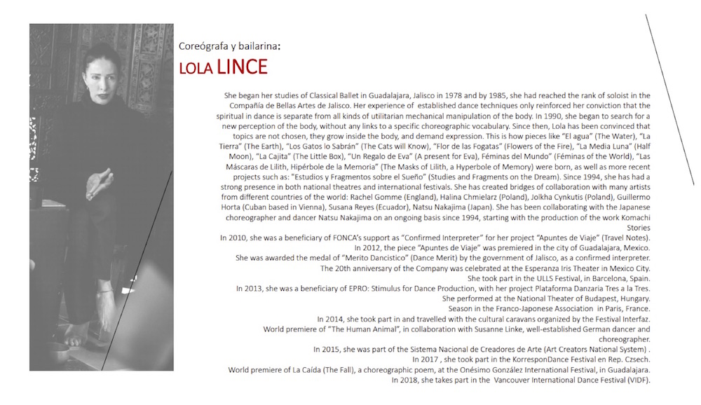 Lola Lince